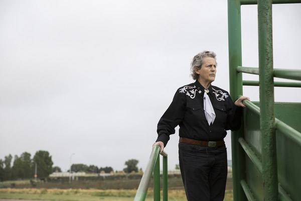 Animal Welfare Getting It Right