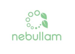 Blog Nebullam Logo