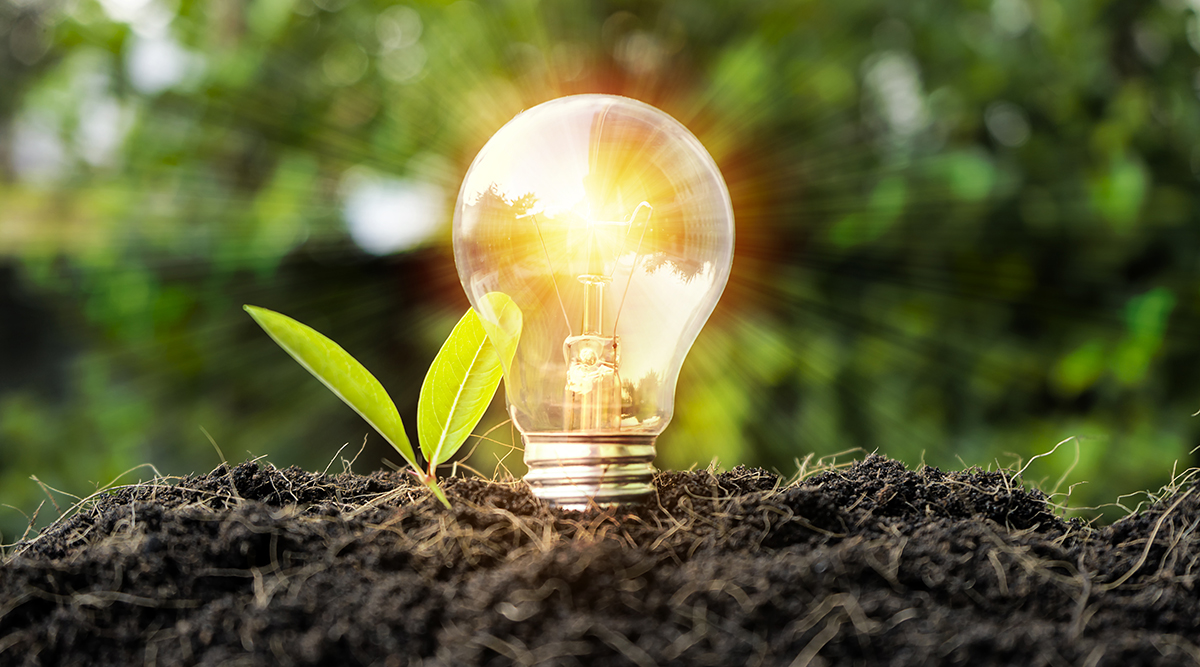 Innovation and Collaboration: The Future of Agriculture, Food Safety, and Nutrition 