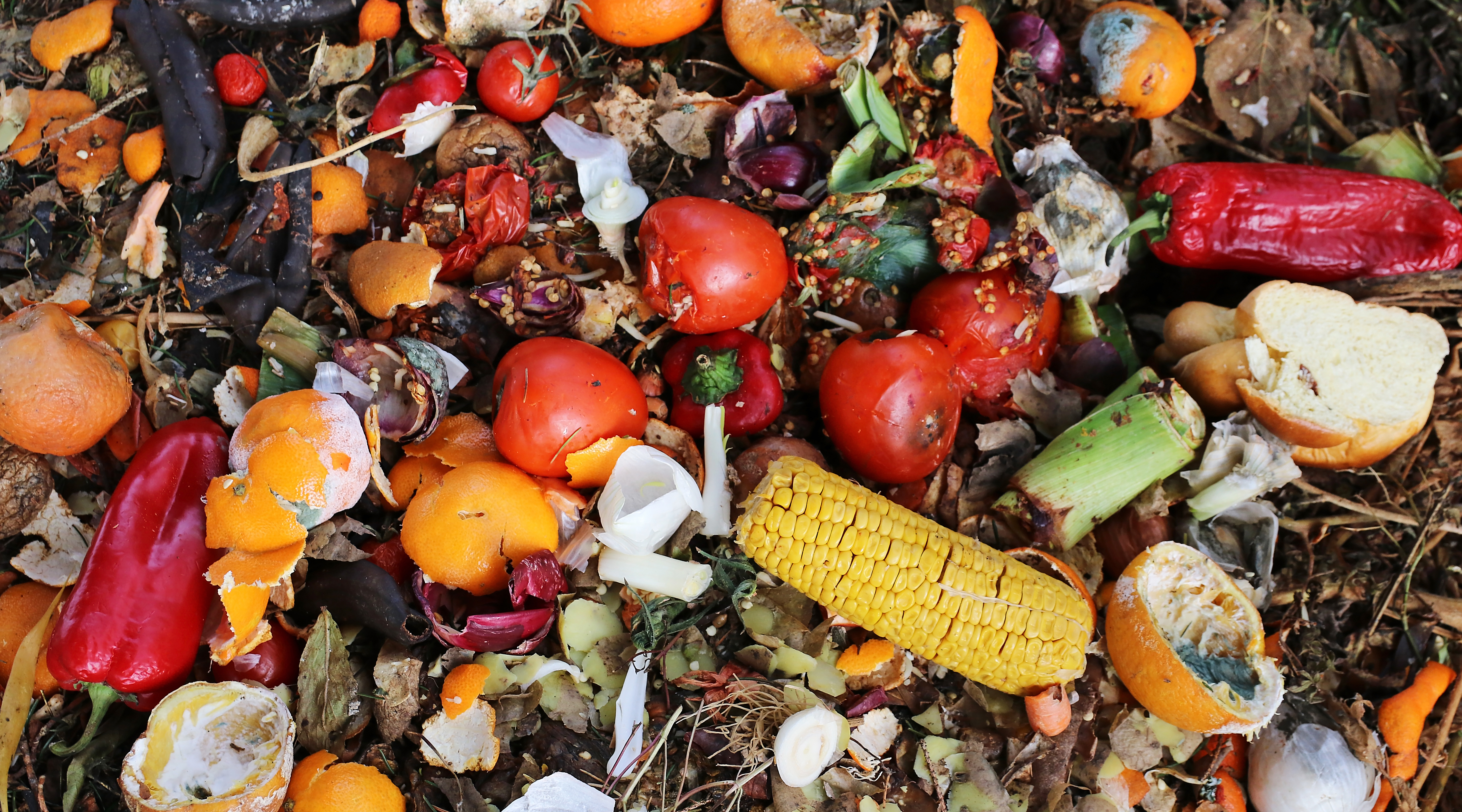Food Waste Food Security Hunger