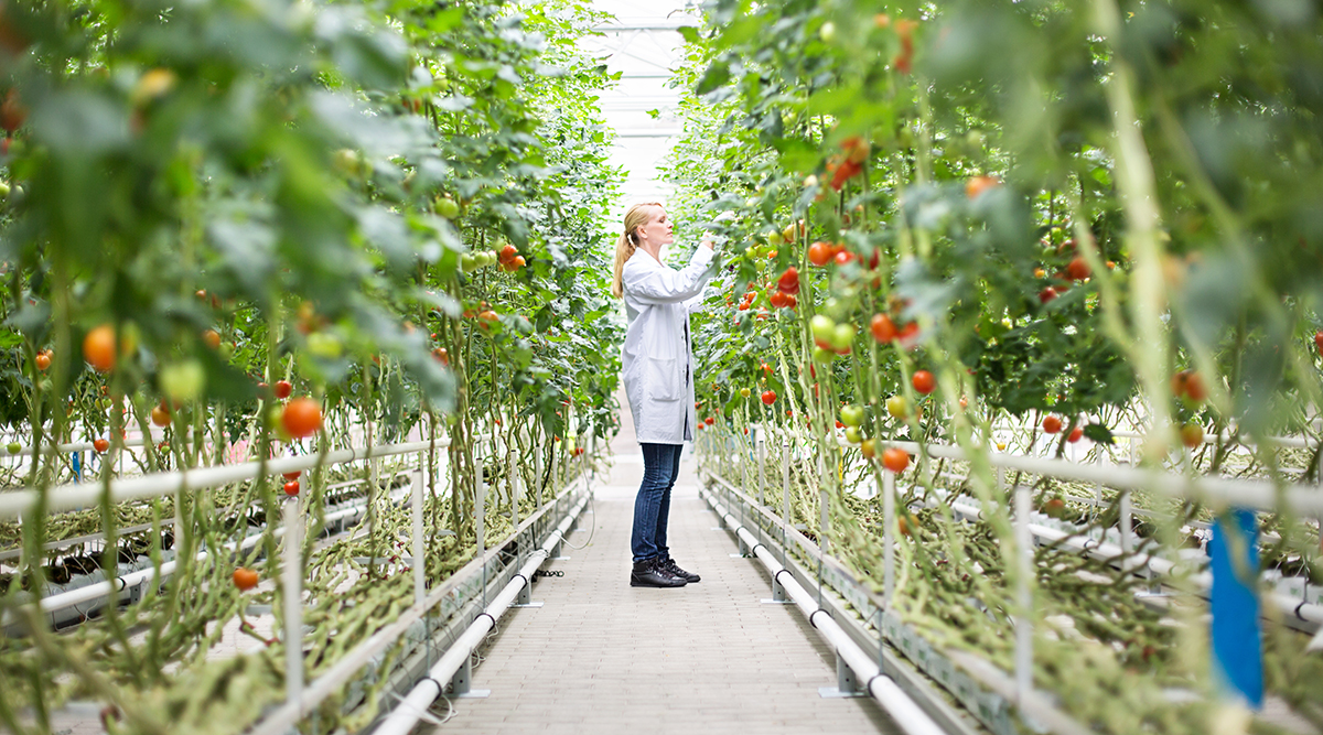 Food Science And Technology Research Gets A Long Awaited Boost IFT food-science-and-technology-research-gets-a-long-awaited-boost-ift