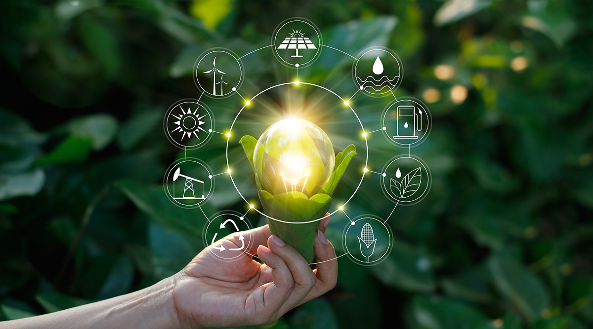 Hand holding light bulb against nature on green leaf with icons for energy sources for renewable, sustainable development