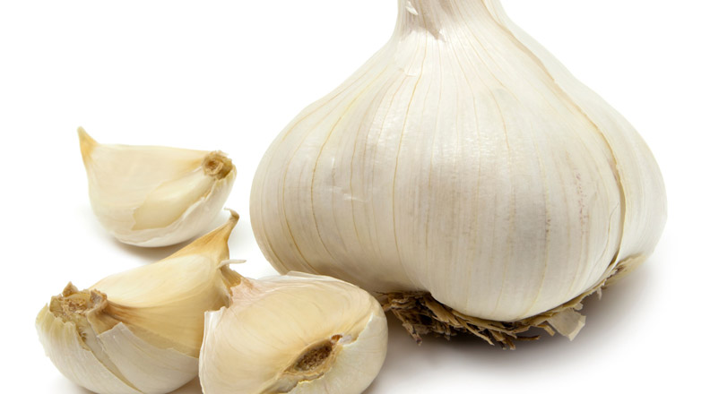 Garlic
