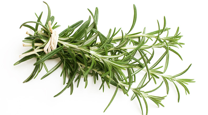 Rosemary