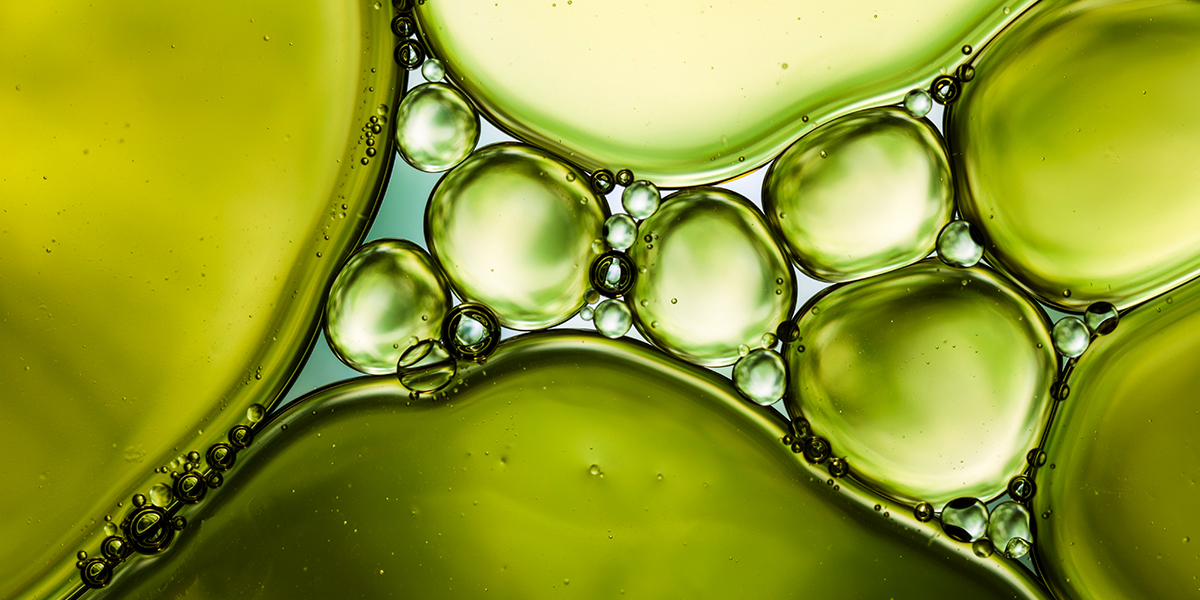Wiley International Journal Of Food Science Technology Template