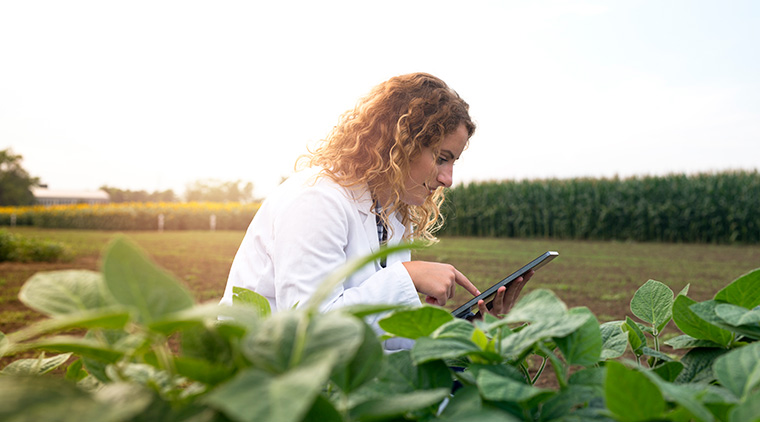 IFT Food Traceability a woman in a lab coat holding a tablet checking on crops on a farm