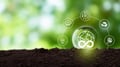 Glowing globe in soil surrounded by icons for carbon reduction, recycling, renewable energy, and sustainability on green background.