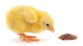 Grape waste, Stevia sweetness, CRFSFS, UC Davis, gut bacteria, and Issues & Insights