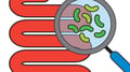 Gut Health Pulse Check