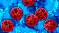 Cyclospora and the Future of Food Safety