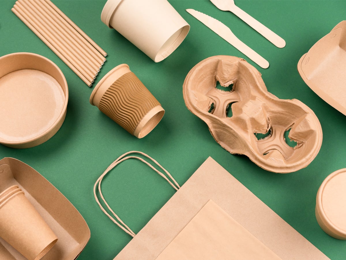 Street food paper packaging, recyclable paperware, zero waste packaging concept.