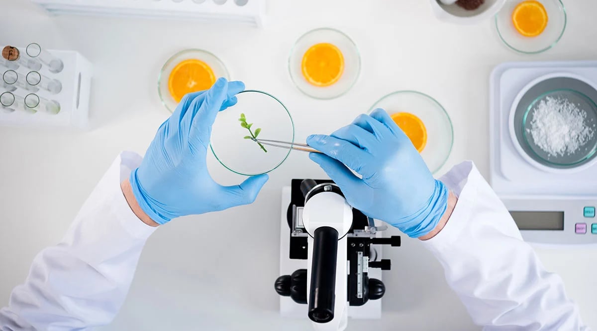 Career in Food Science Image