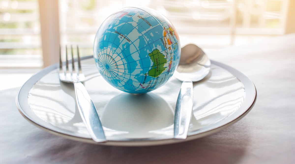 international_policy_resources