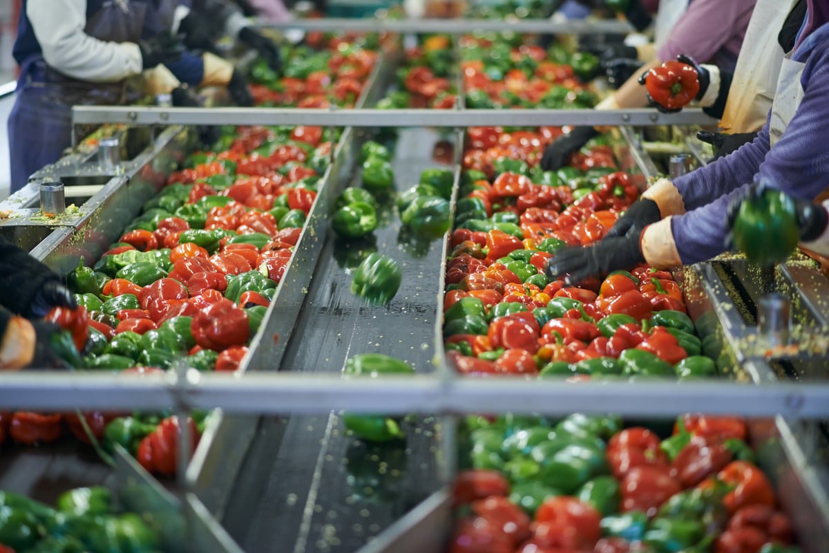 food_processing_peppers