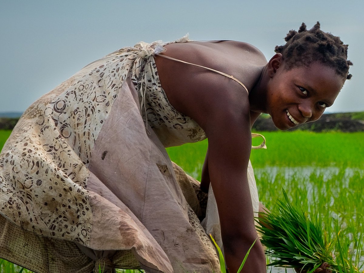 African female farmer working on her rice field in Mozambique
