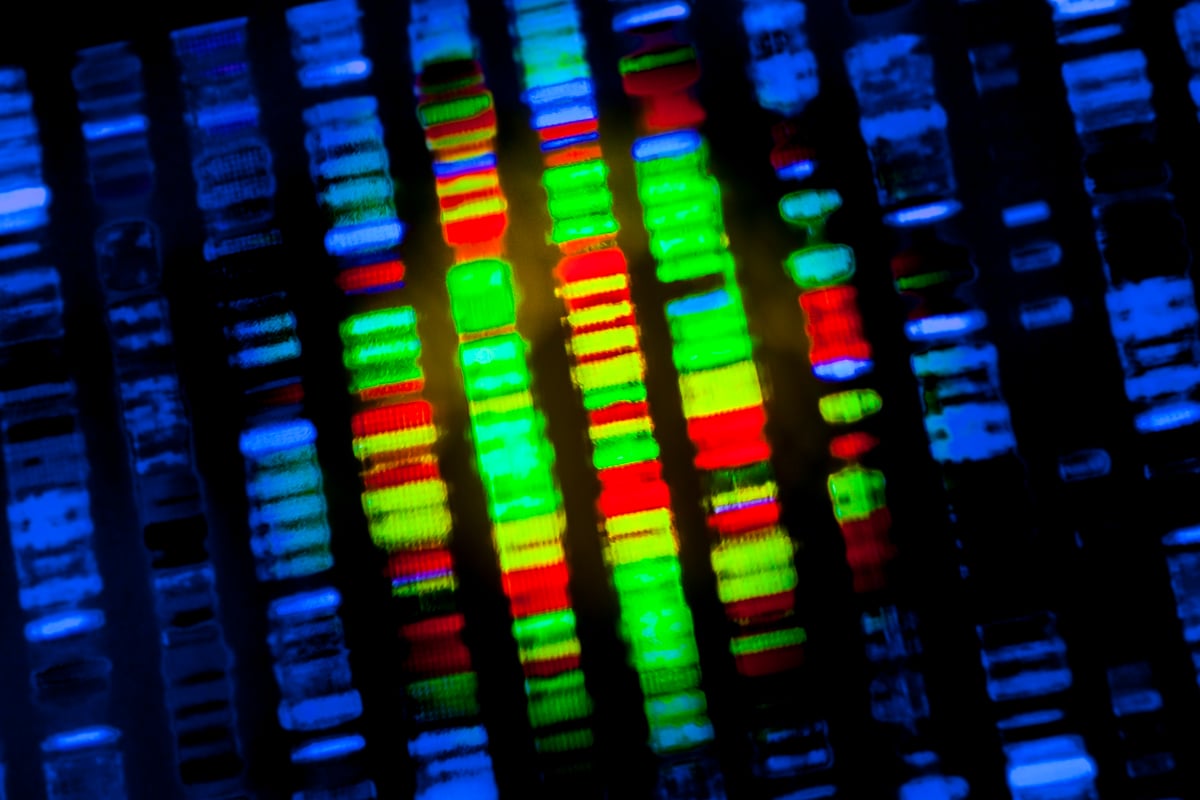 genetic sequence