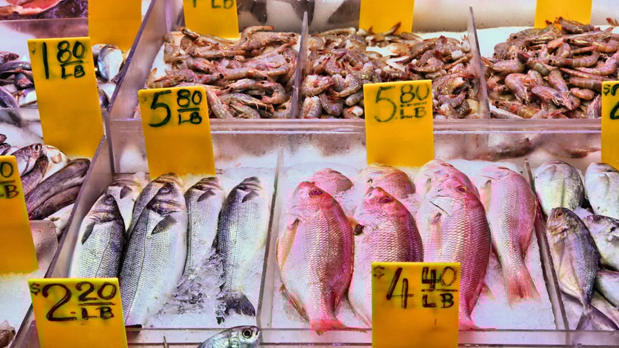 Blog Traceability Transparency X