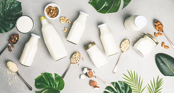 Daily Alternatives - Brain Food Blog