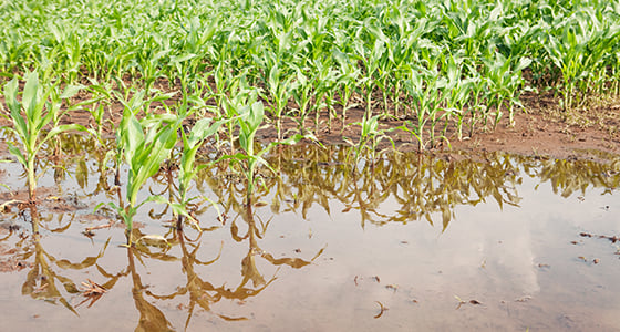 Acting on Climate blog