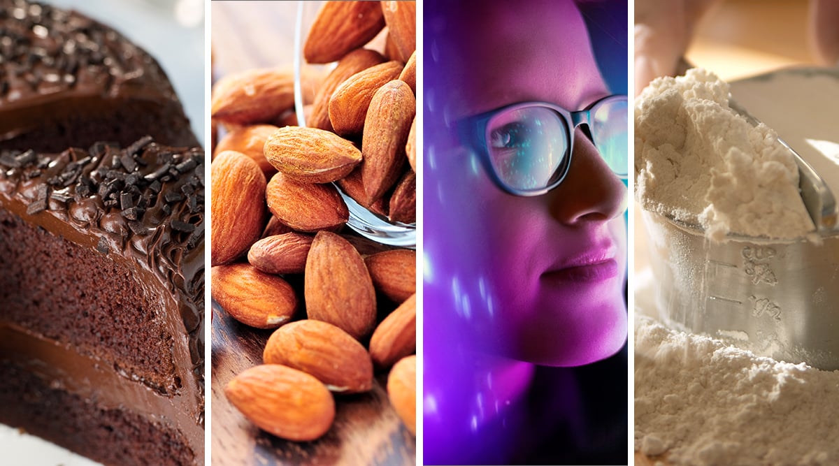 Sugar, Alternative Protein, Digitization, Pulse Ingredient Processing