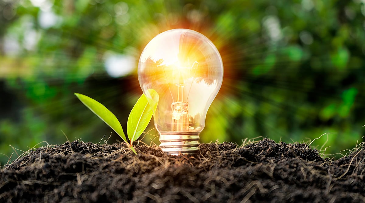 Innovation and Collaboration: The Future of Agriculture, Food Safety, and Nutrition