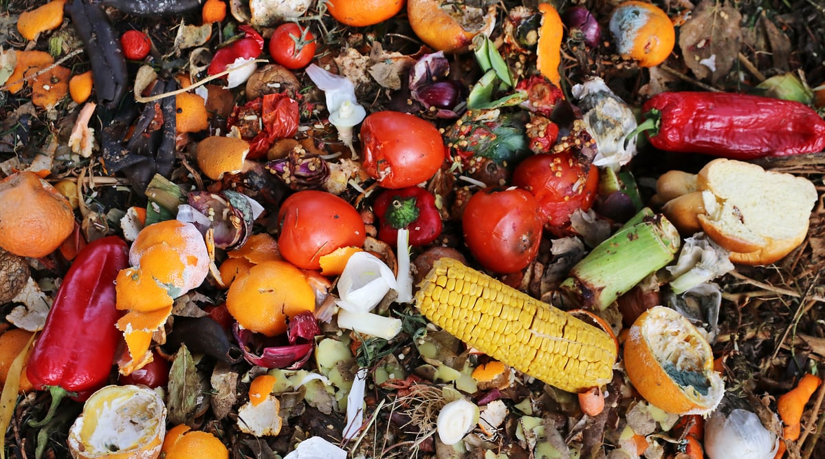 Food Waste Food Security Hunger
