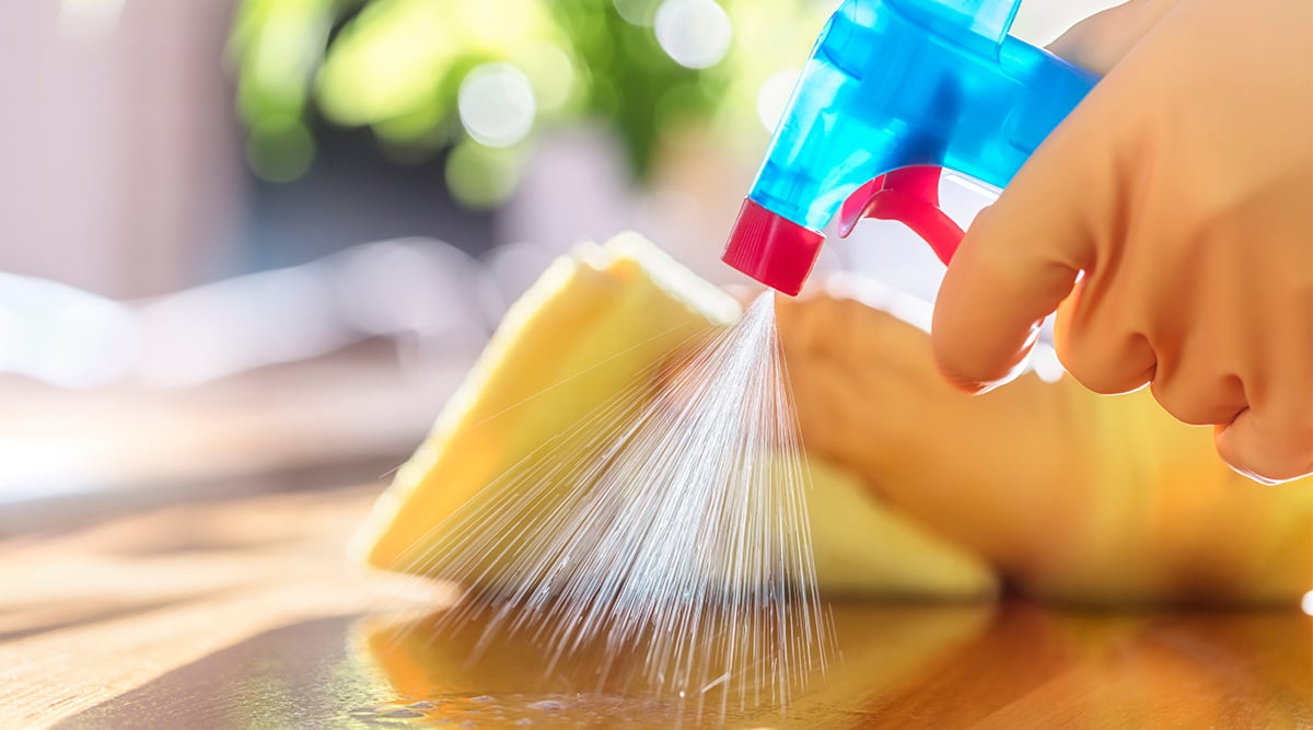 Clean Countertops Before Packing Lunch to Maintain Food Safety