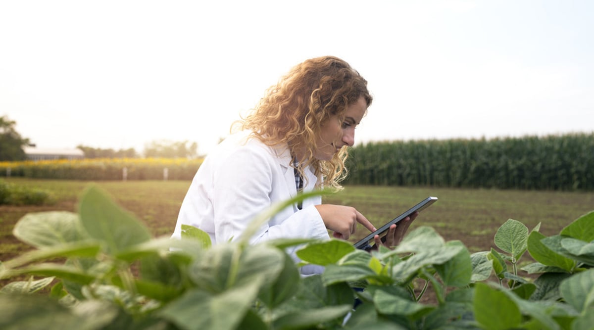A woman sitting in a large field uses traceability technology.