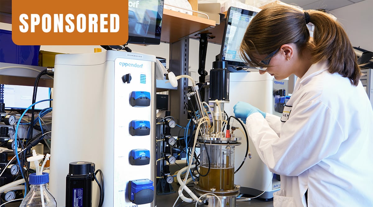 A tech at Sensient BioNutrients works in the lab