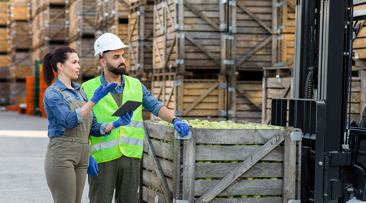 traceability workers along the food supply chain