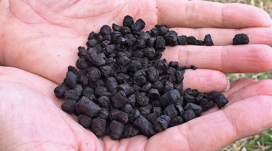 Biochar From Crop Waste