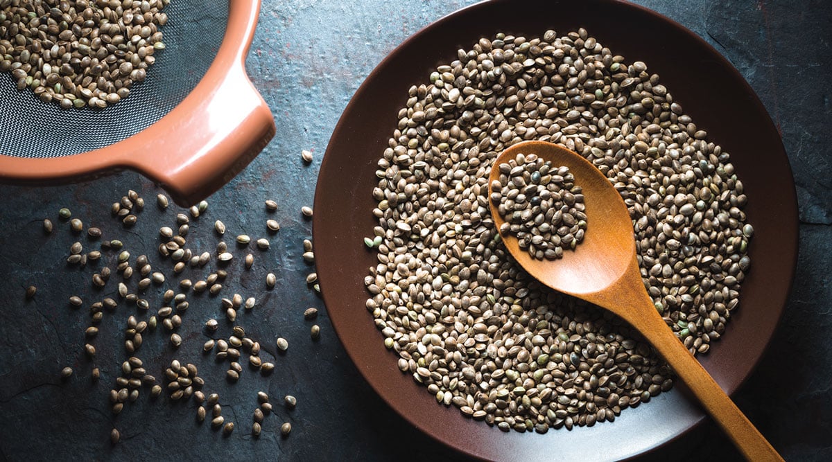 Nutraceuticals Hempseeds X