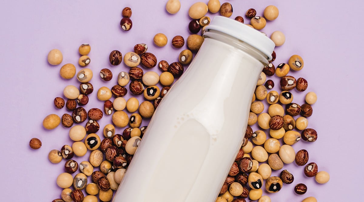 Startups Col Bambara X