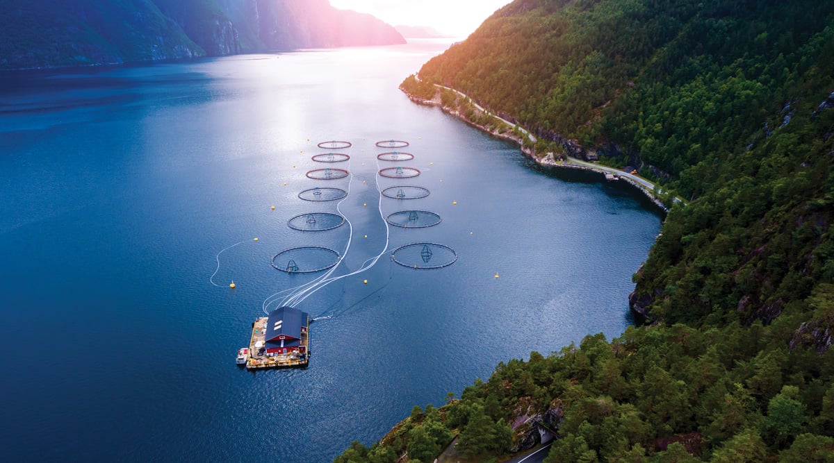 Faquaculture Faroe X