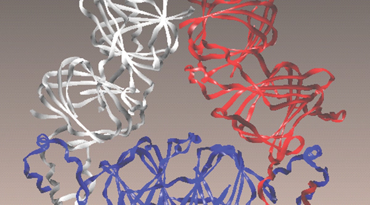 Processing ribbons