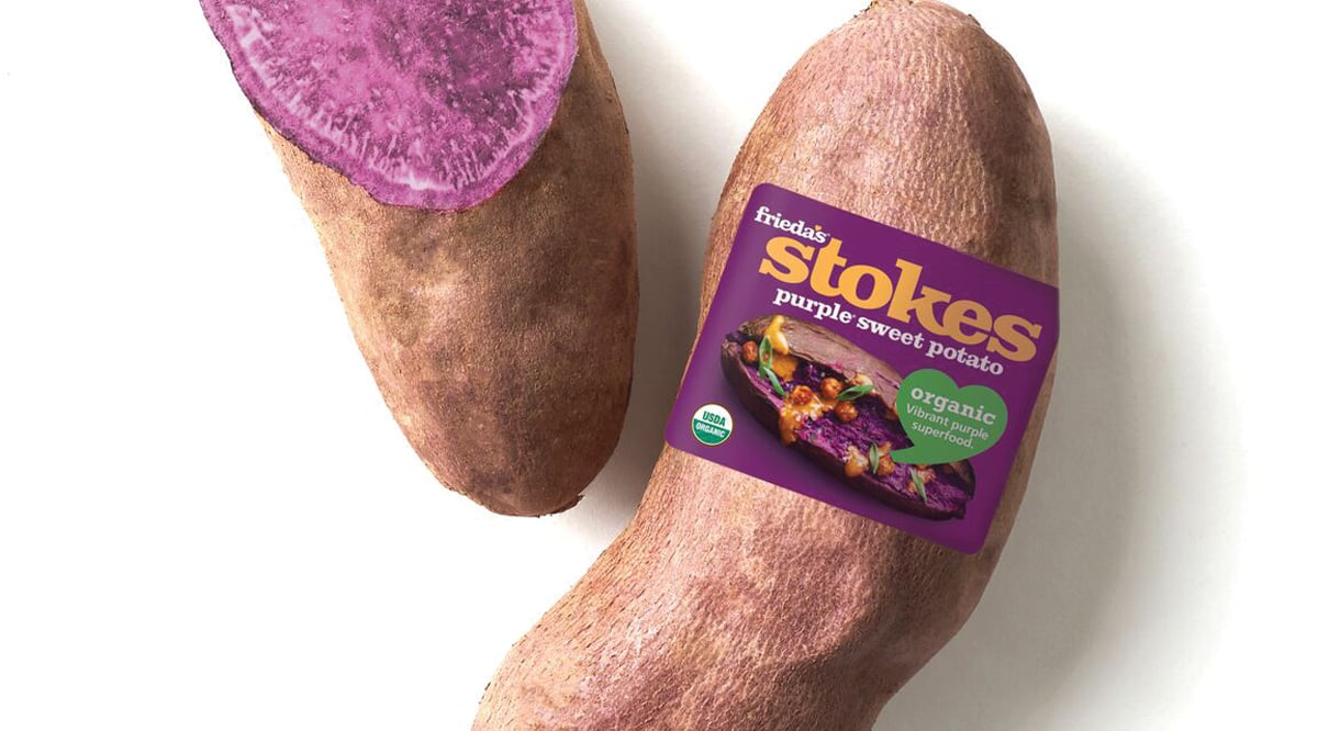 Mt Consumers Stokes X