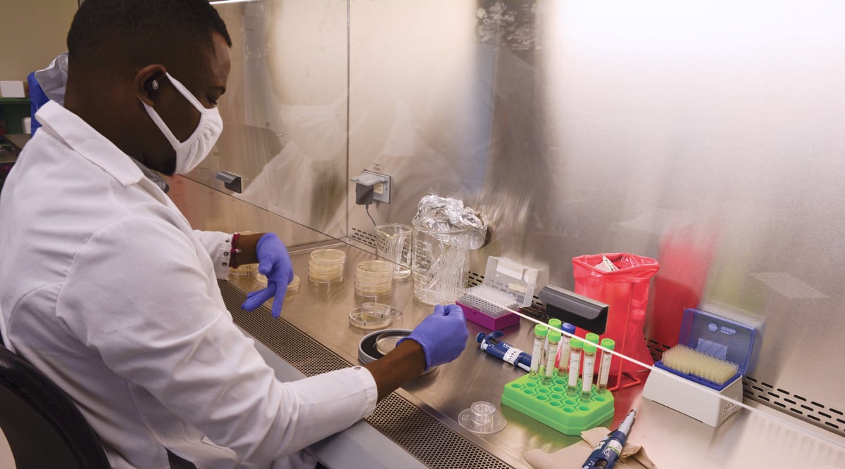 Packaging Col Analysis X