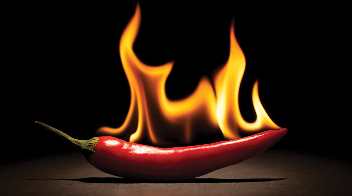 F Firstexhibitor Pepper X