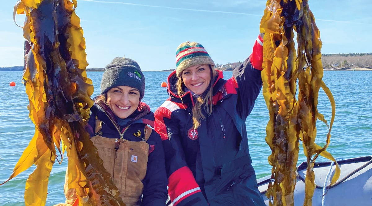 I Startupsinnovators X