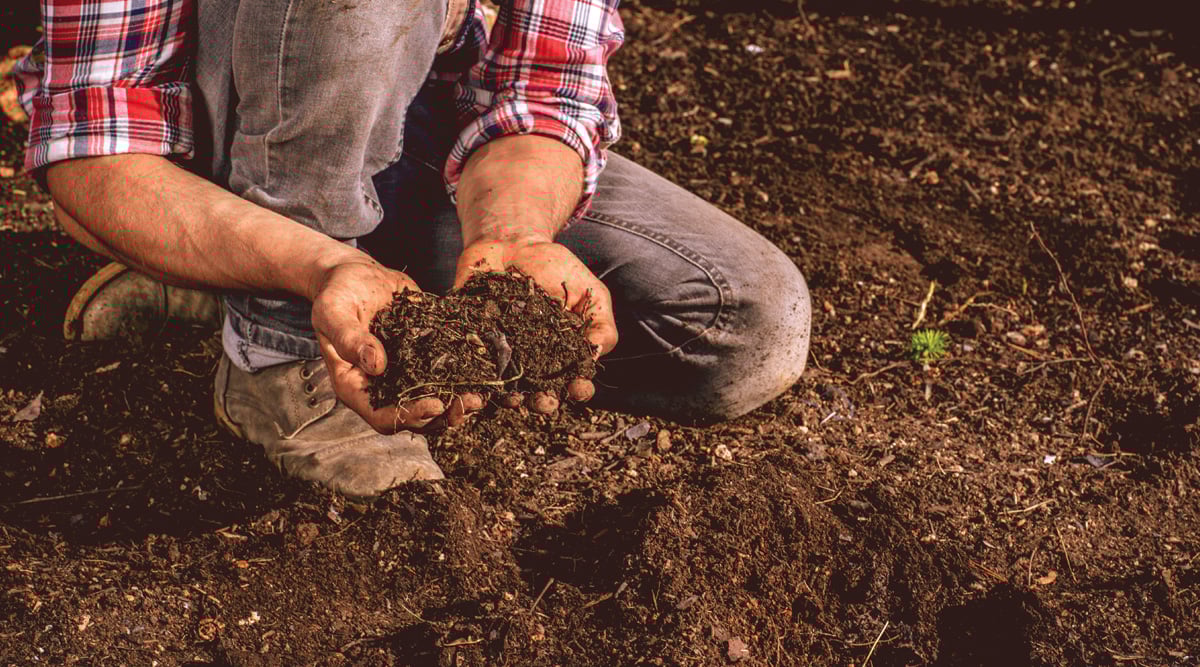 Isin F Rdnetzero Pt X