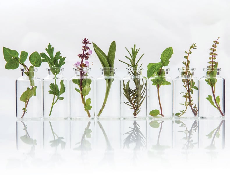 Bottle of essential oil with herb holy basil leaf, rosemary,oregano, sage,basil and mint