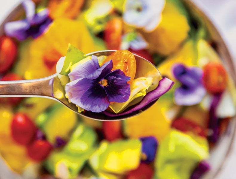 Spoon of mixed salad with avocado, tomatoes and edible flower