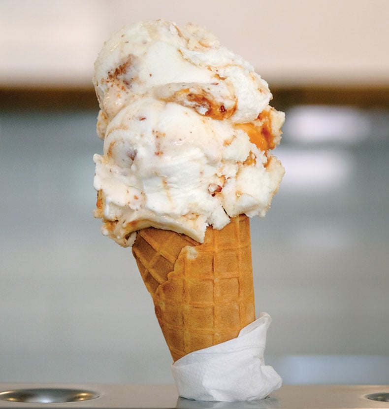 Mt F Catspotlight Hero X