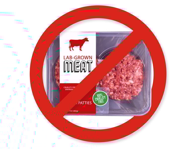 No Lab Grown Meat