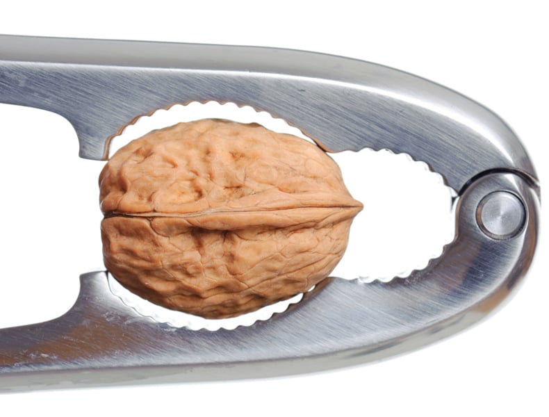 Nutcracker and walnut