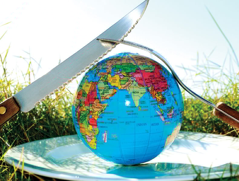 Earth globe in a plate with a knife and a fork over it on grass with sky as background.