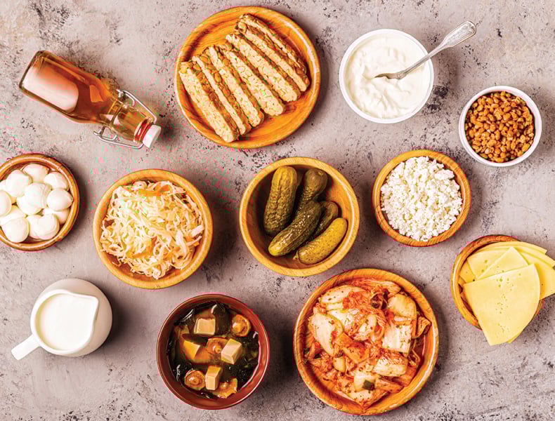 Various fermented foods