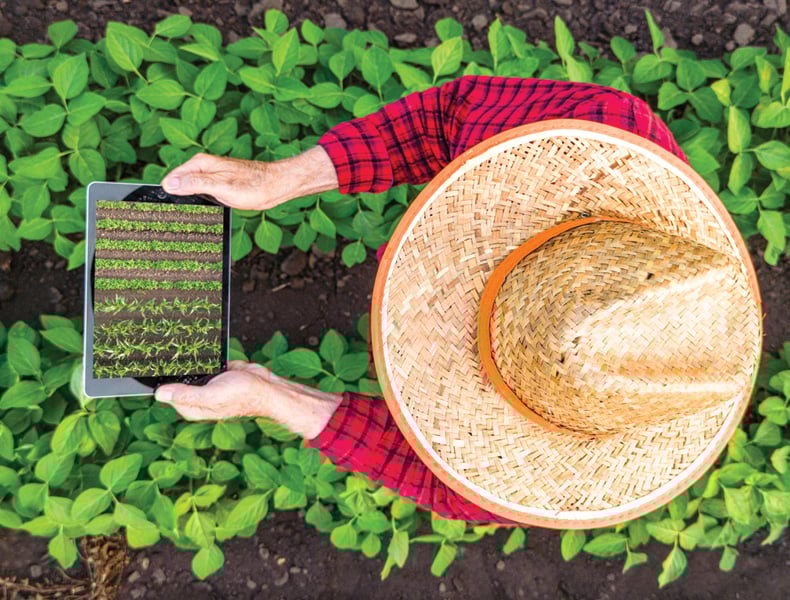 Top view of farmer standing in the field, holding remote controller and flying agricultural drone to monitor crops growth.
