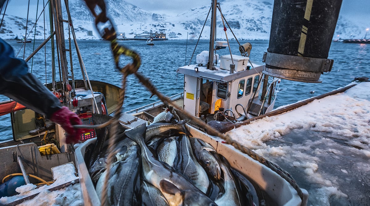 Mkt Pressroom Images X Gftc