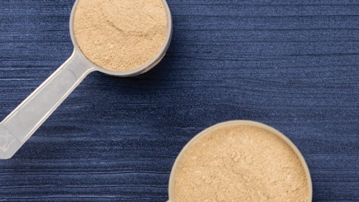 Fermented ingredient powders, fermentation-derived ingredient powders.